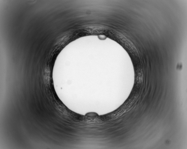 X0000103441108200810101059