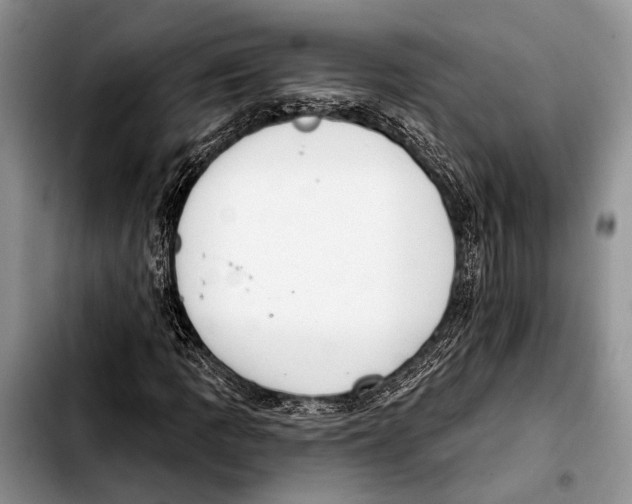X0000103441109200810101059