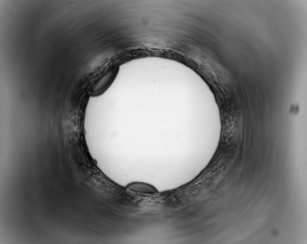 X0000103441110200810101059