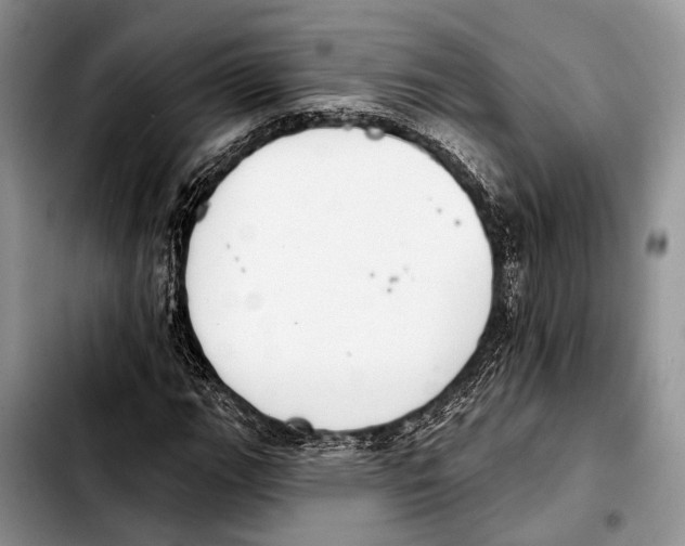 X0000103441111200810101059