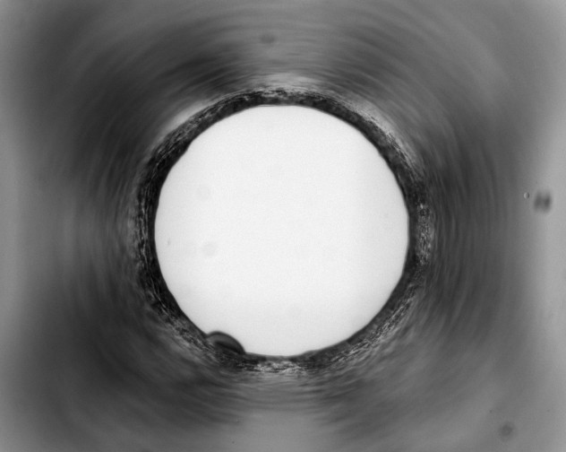 X0000103441112200810101059