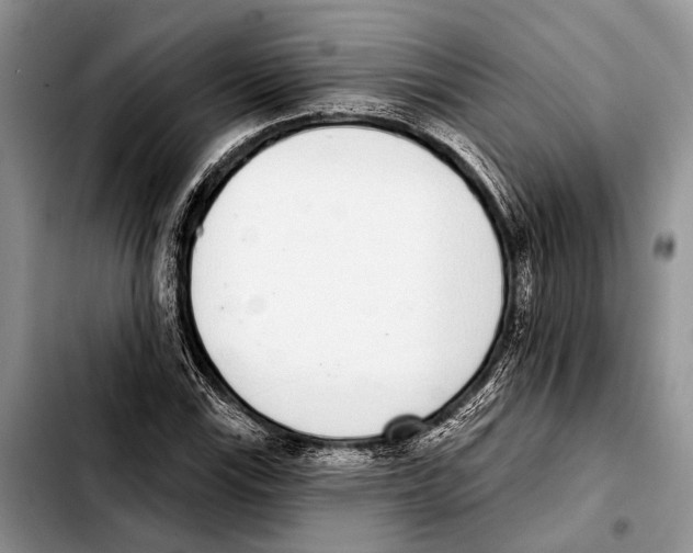 X0000103441115200810101059