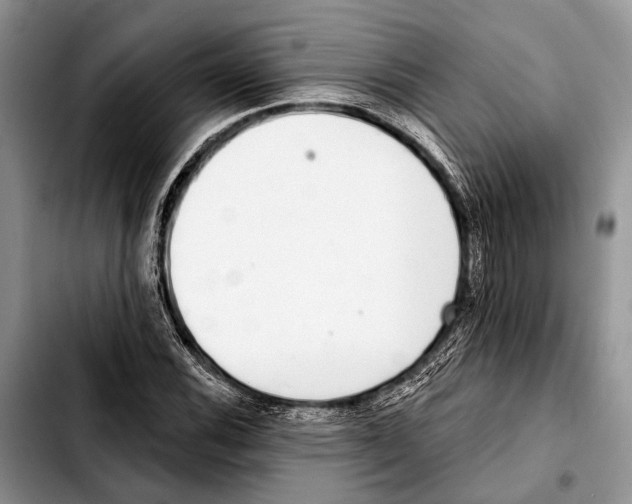 X0000103441116200810101059