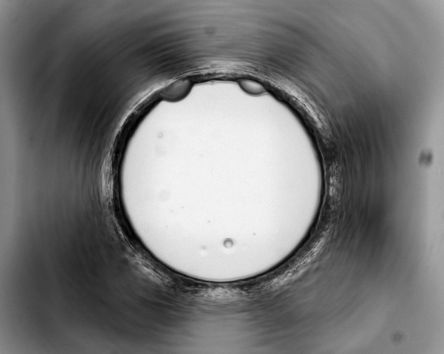 X0000103441117200810101059