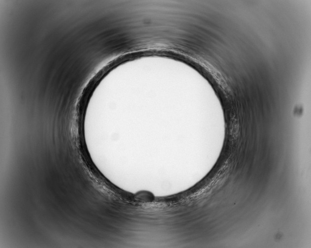 X0000103441118200810101059