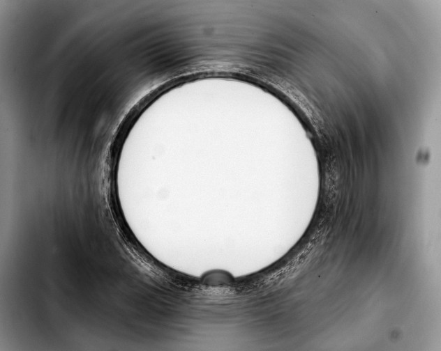 X0000103441119200810101059