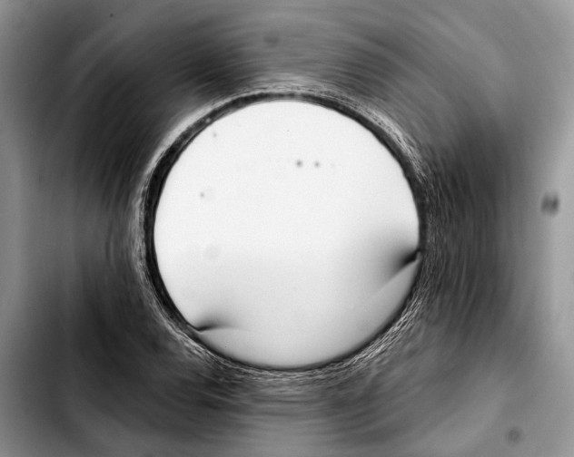 X0000103441120200810101059