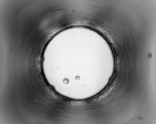 X0000103441121200810101059
