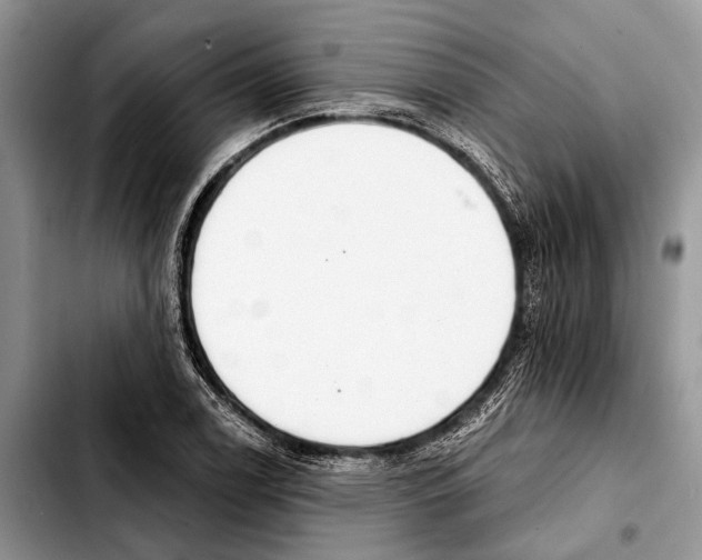 X0000103441122200810101059