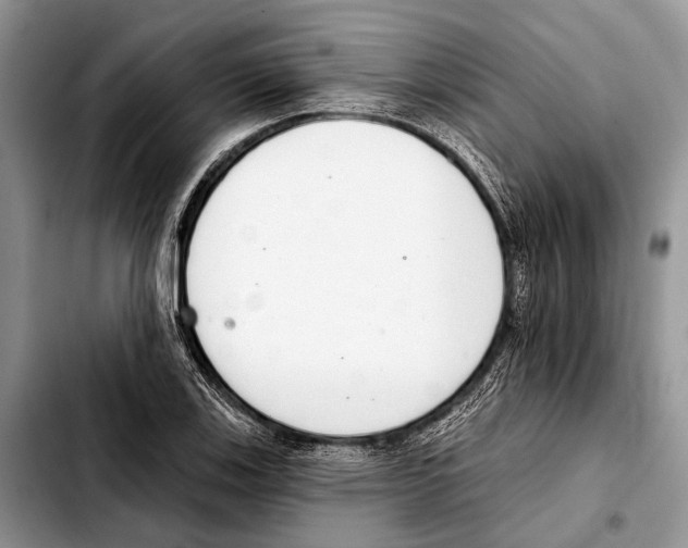 X0000103441123200810101059