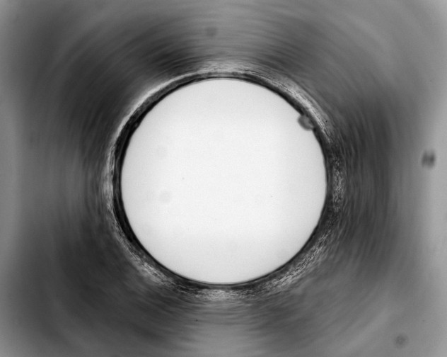 X0000103441124200810101059