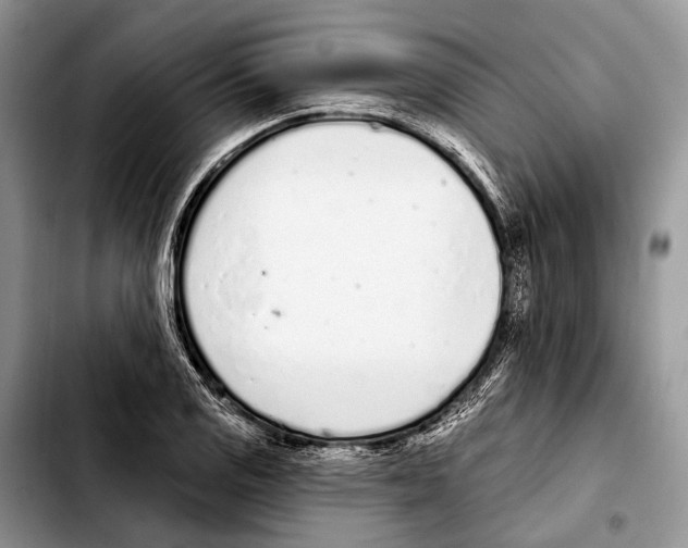 X0000103441125200810101059