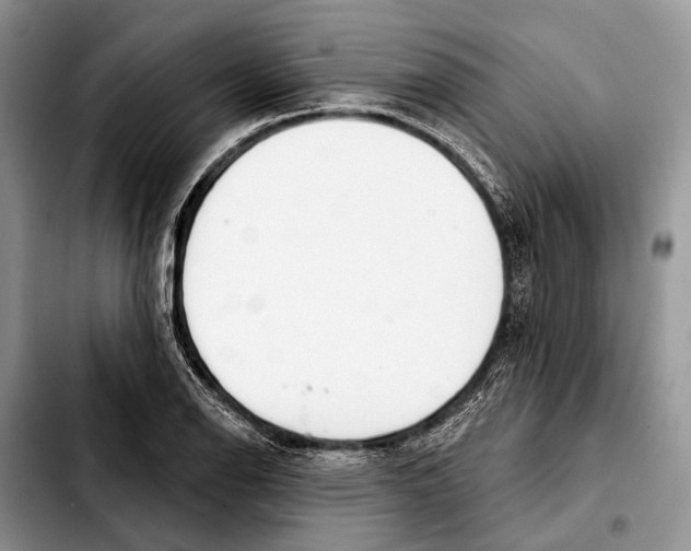 X0000103441126200810101059