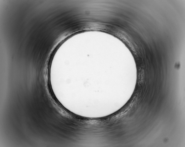 X0000103441130200810101059