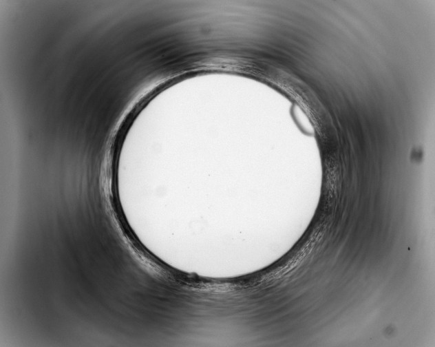 X0000103441131200810101059