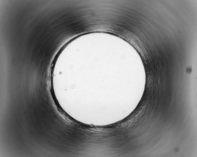 X0000103441132200810101059