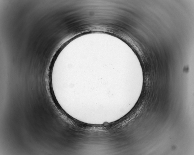 X0000103441133200810101059