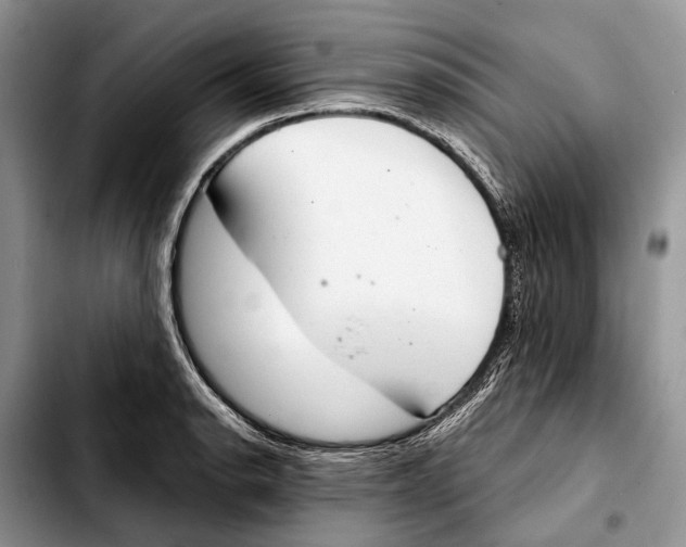 X0000103441134200810101059