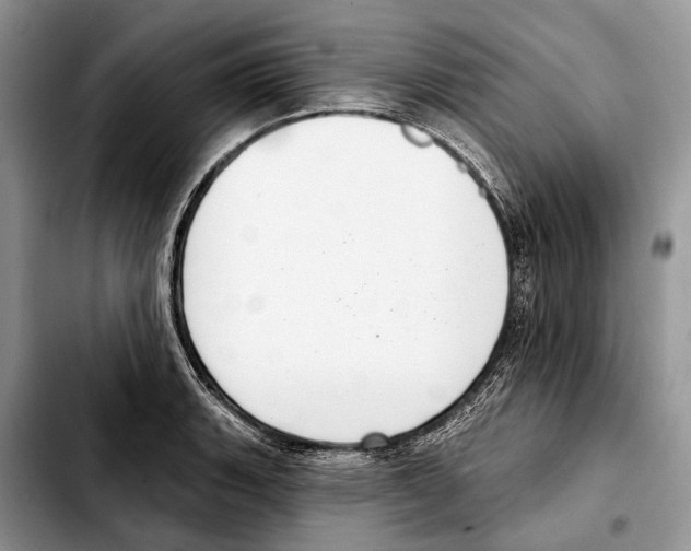 X0000103441135200810101059