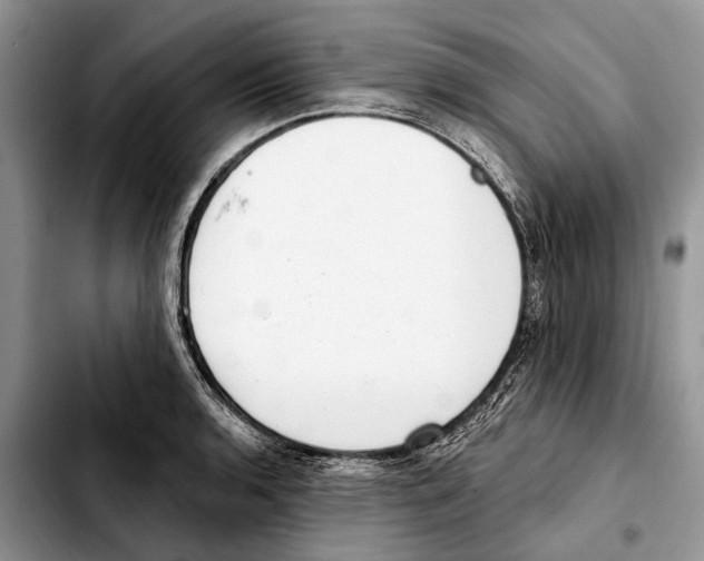 X0000103441136200810101059