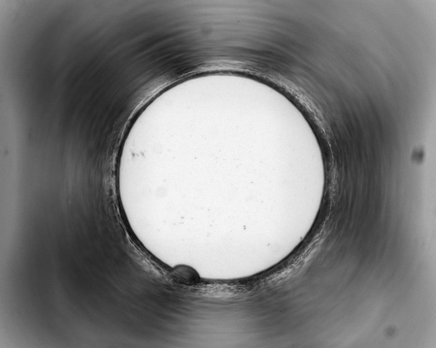 X0000103441137200810101059