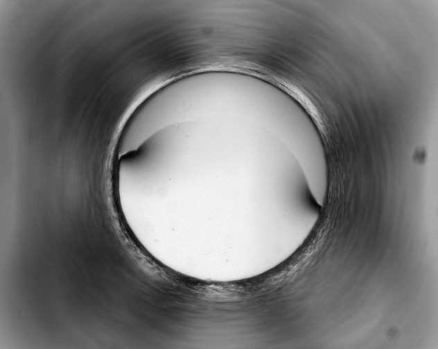 X0000103441138200810101059