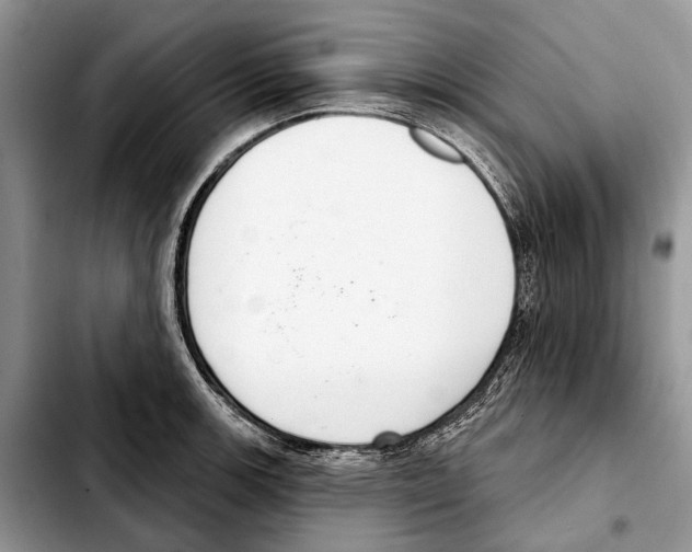X0000103441139200810101059