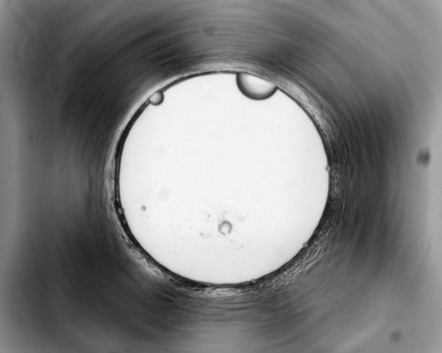 X0000103441140200810101059