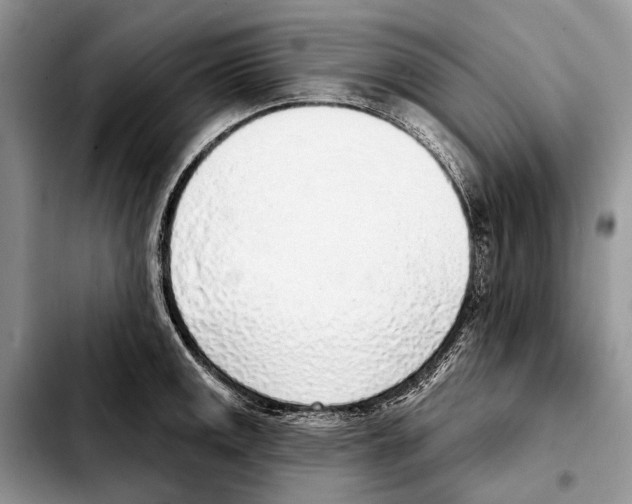 X0000103441141200810101059