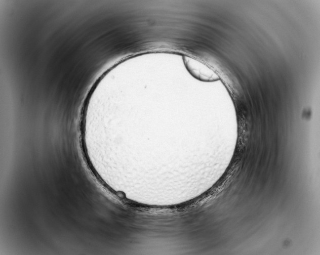 X0000103441142200810101059