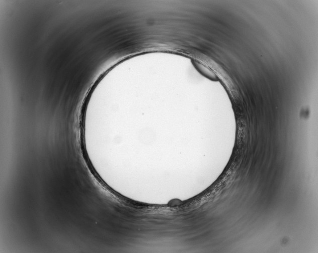 X0000103441143200810101059