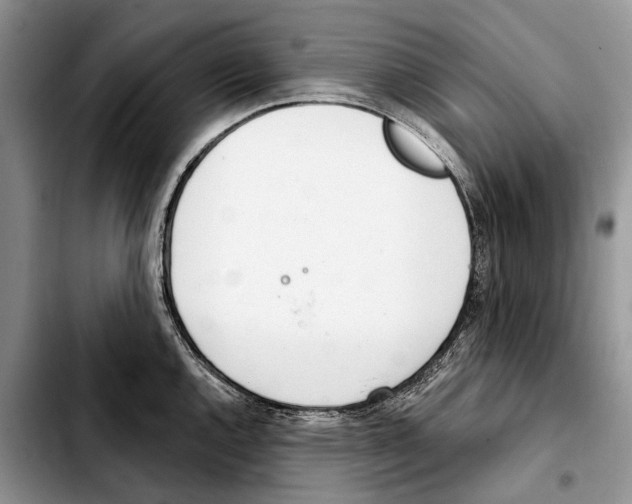 X0000103441144200810101059