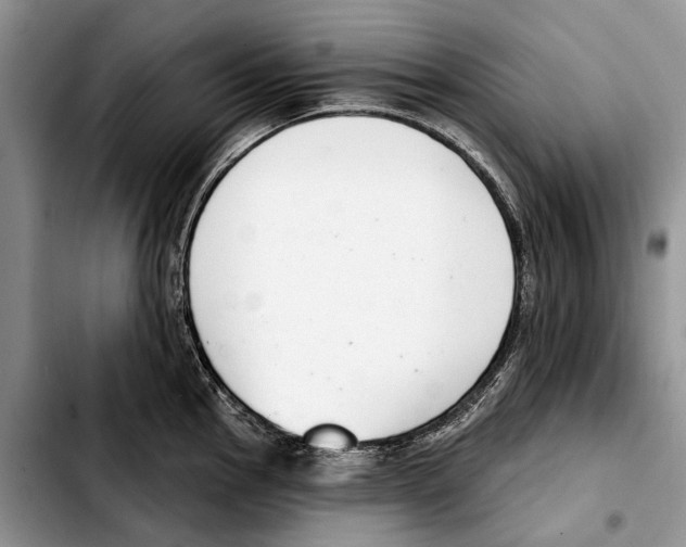 X0000103441145200810101059