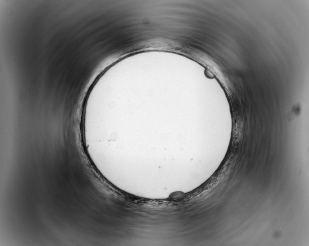 X0000103441146200810101059