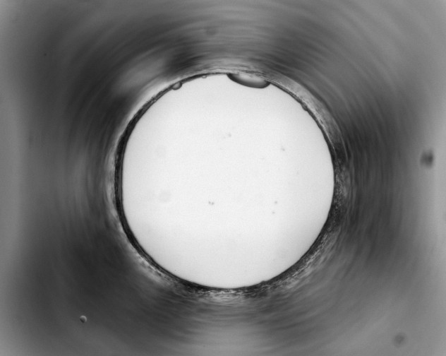 X0000103441147200810101059
