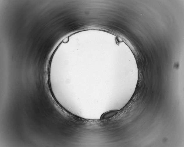 X0000103441148200810101059