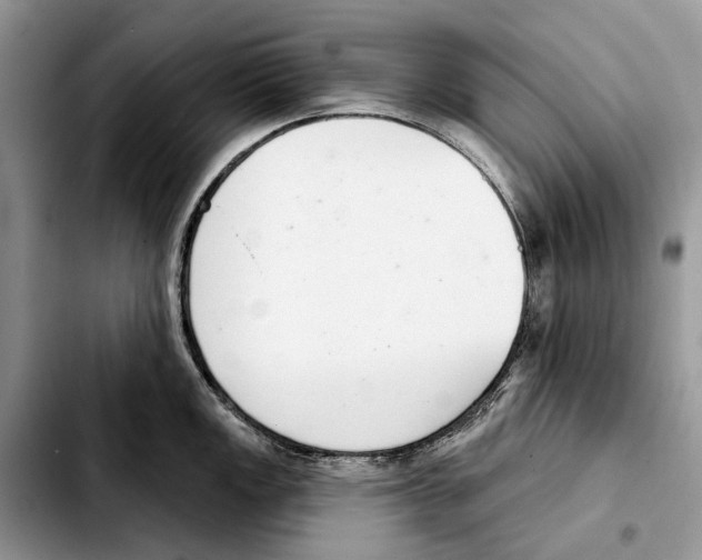 X0000103441149200810101059