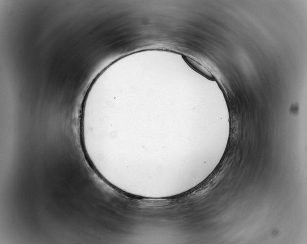 X0000103441151200810101059