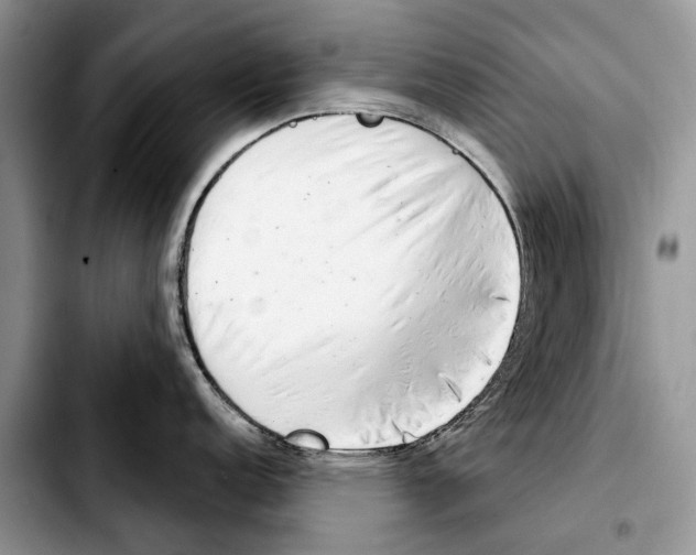 X0000103441152200810101059