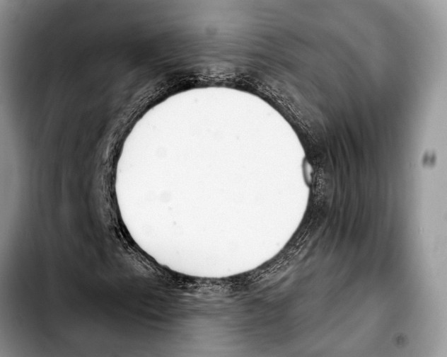 X0000103441153200810101059