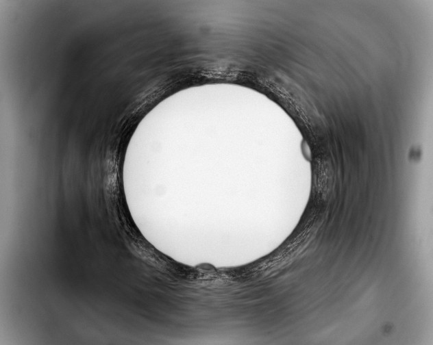 X0000103441154200810101059