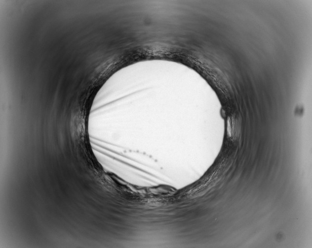 X0000103441155200810101059
