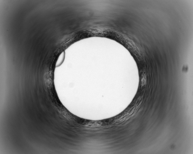 X0000103441156200810101059