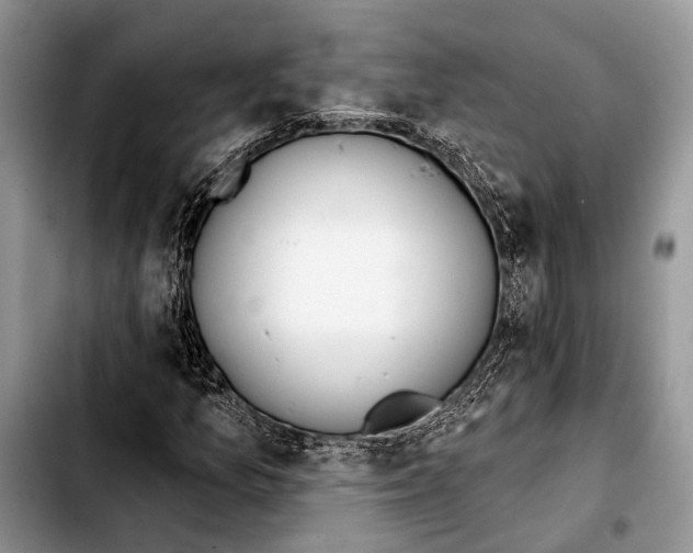 X0000103441157200810101059