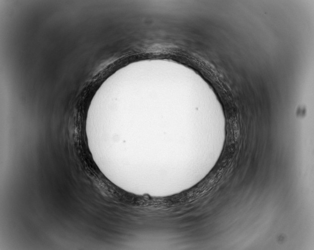 X0000103441158200810101059