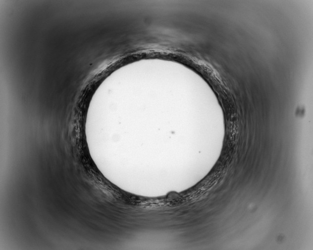 X0000103441159200810101059