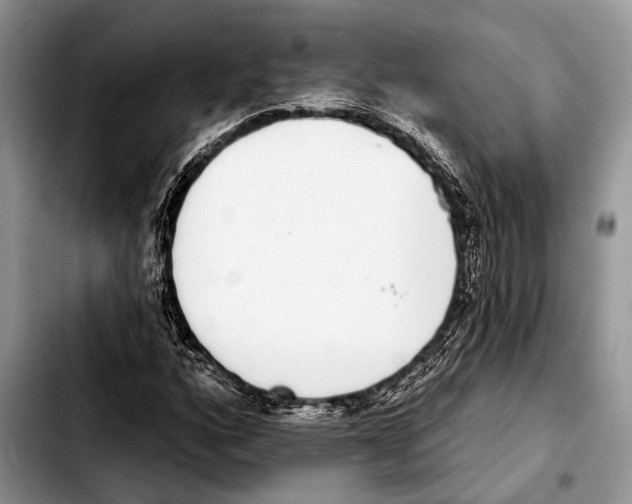 X0000103441160200810101059