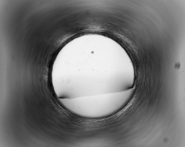 X0000103441161200810101059