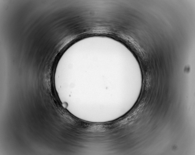 X0000103441162200810101059