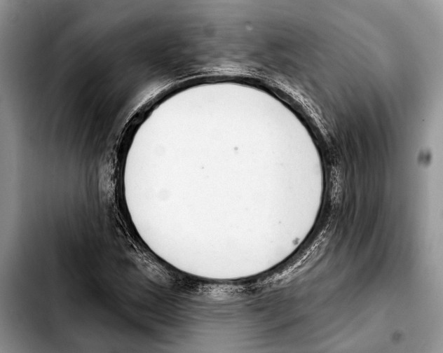 X0000103441163200810101059